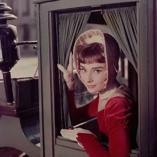 6686体育官网中级作者九命猫