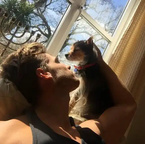 6686体育官网银牌作者花开若不弃