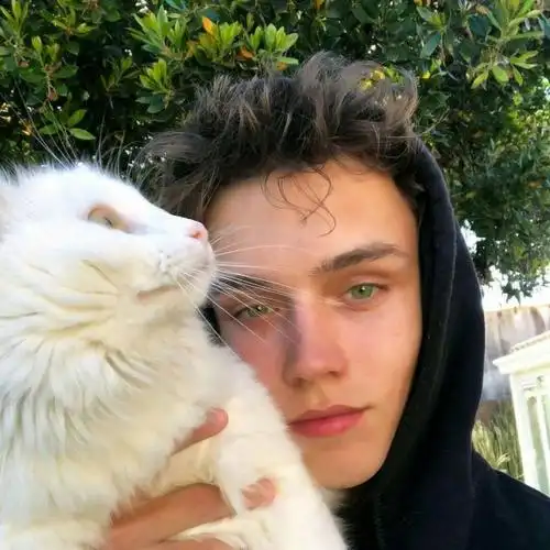 6686体育官网签约作者Coral