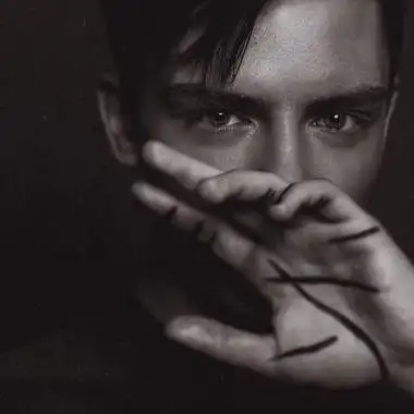 6686体育官网合作伙伴野的像风